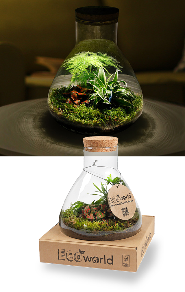 relatiegeschenk planten terrarium 1